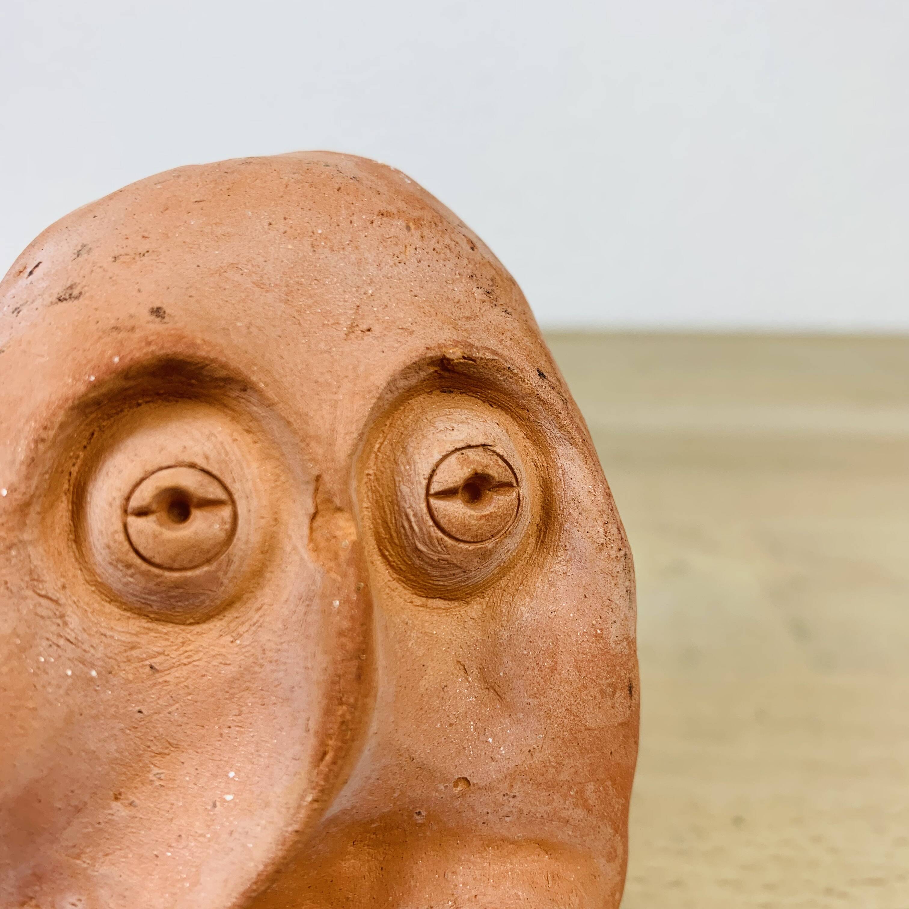 Terracotta head/bust, object of curiosity