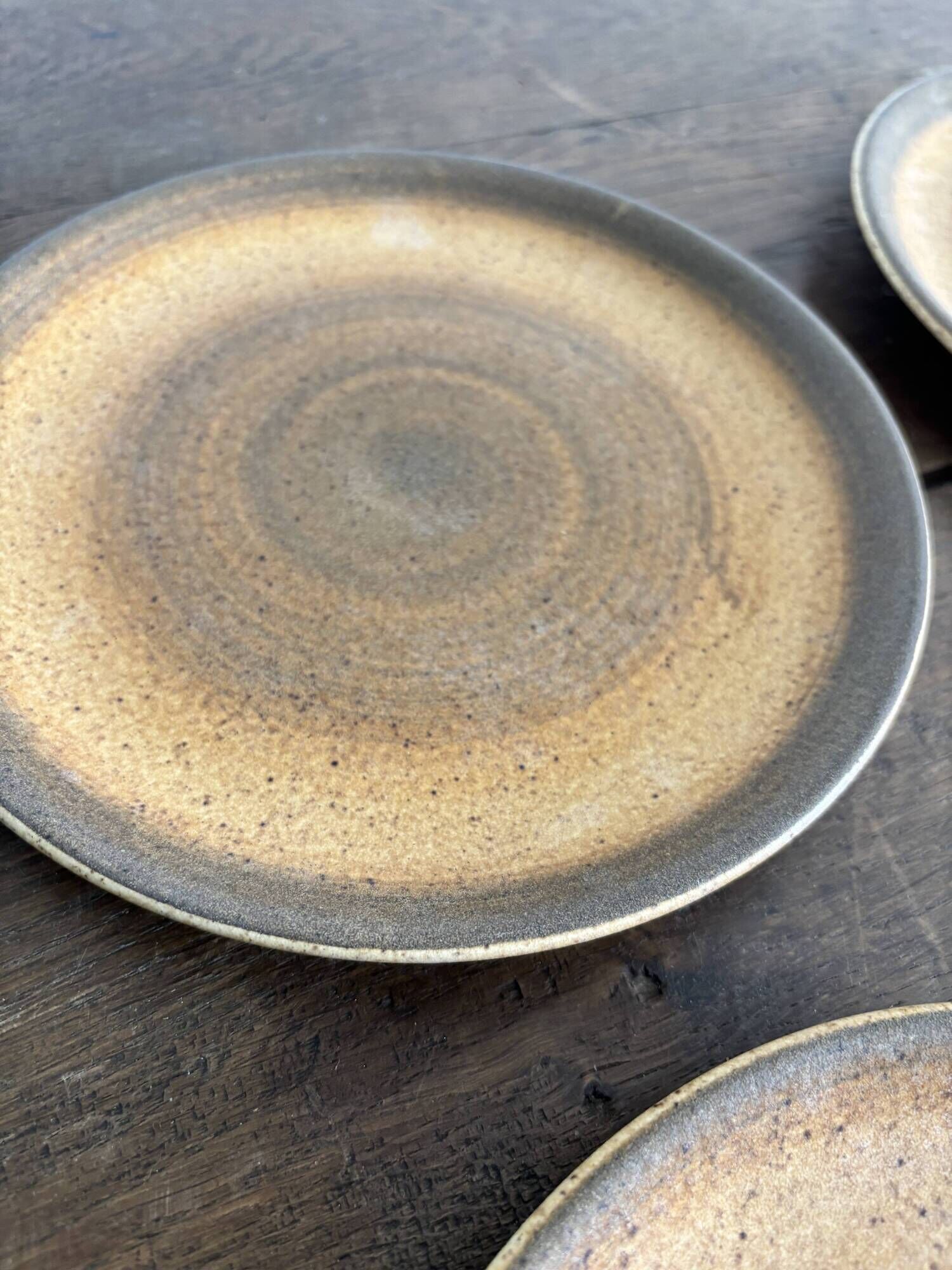 Service of 15 vintage Longchamp plates in stoneware.