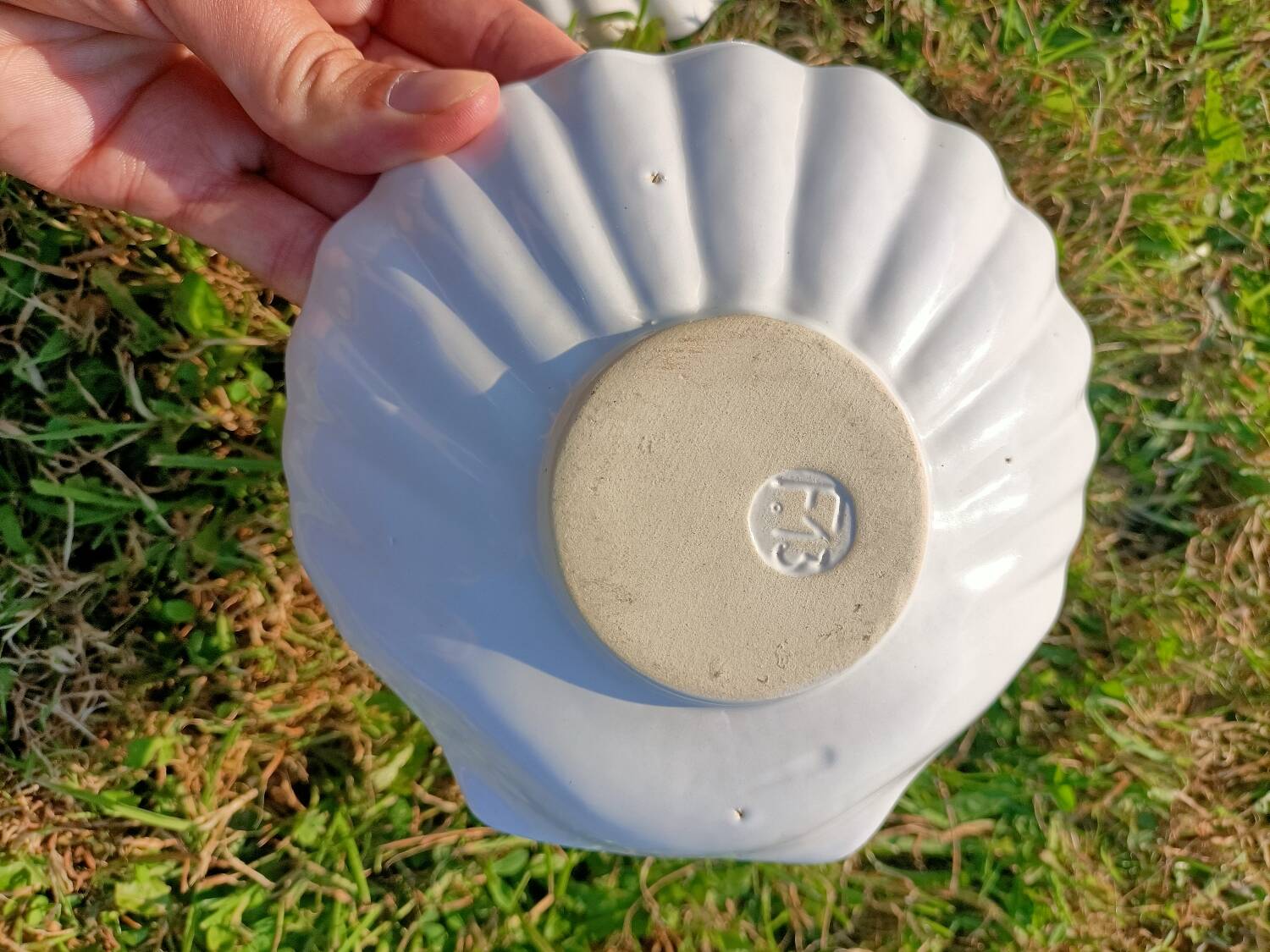 Scallop Shell Soap Dish