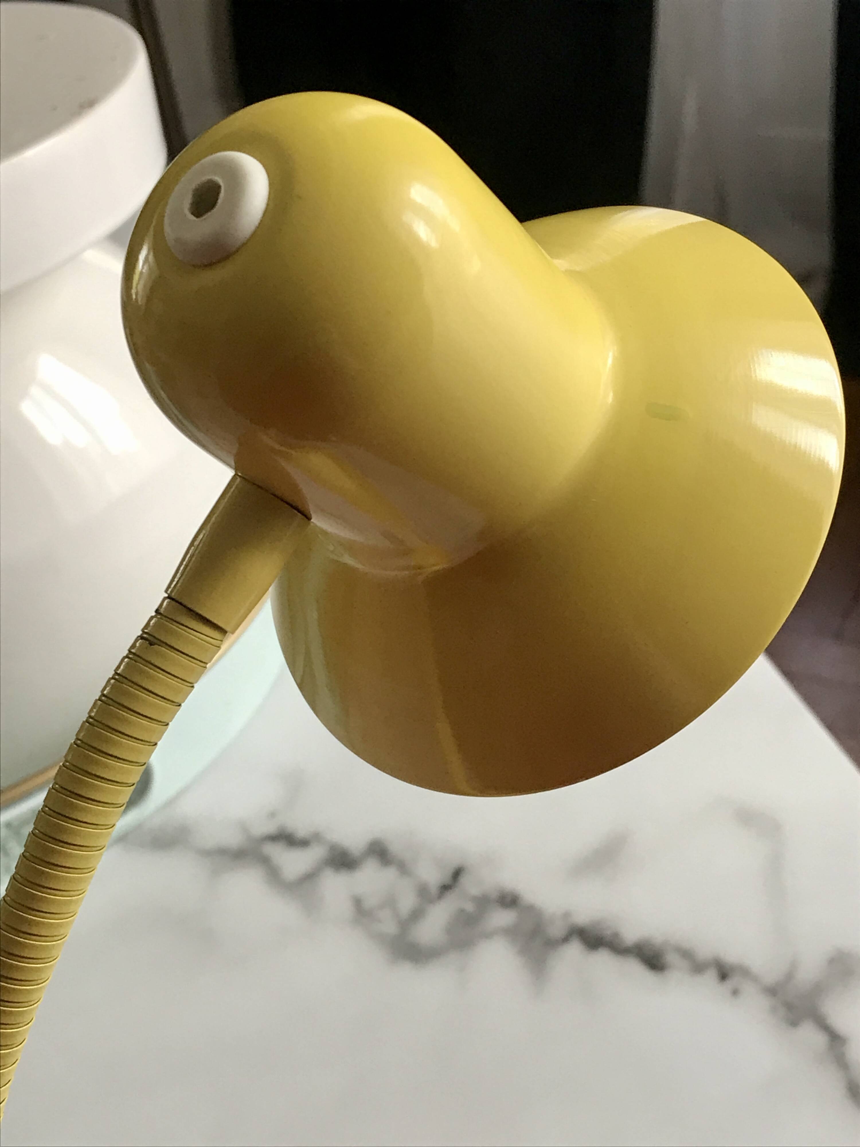 Belgian flexible lamp