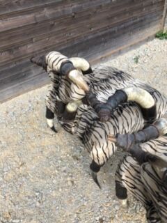 Set of 2 ethnic buffalo horn armchairs