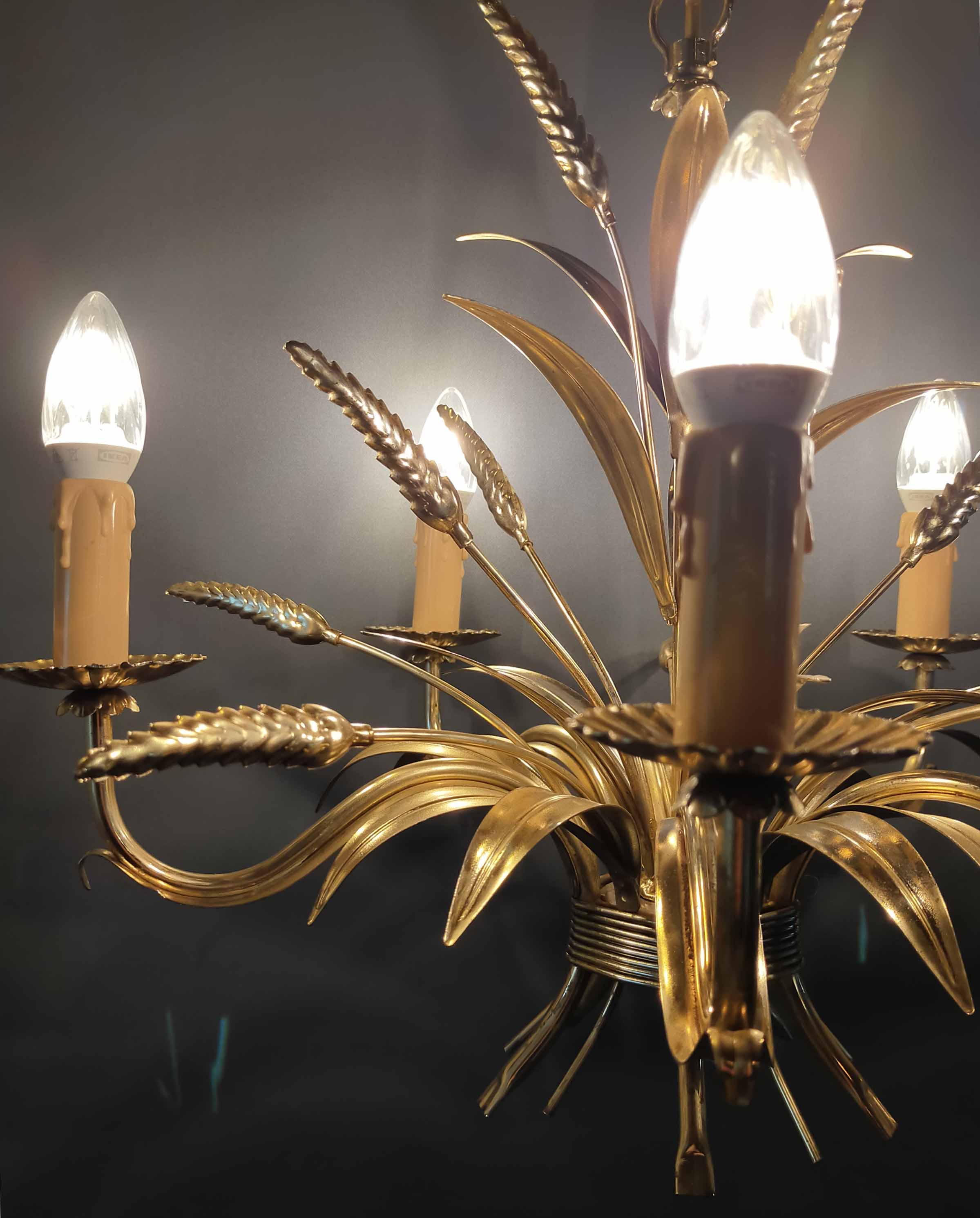 Hans Kögl suspension ears of wheat