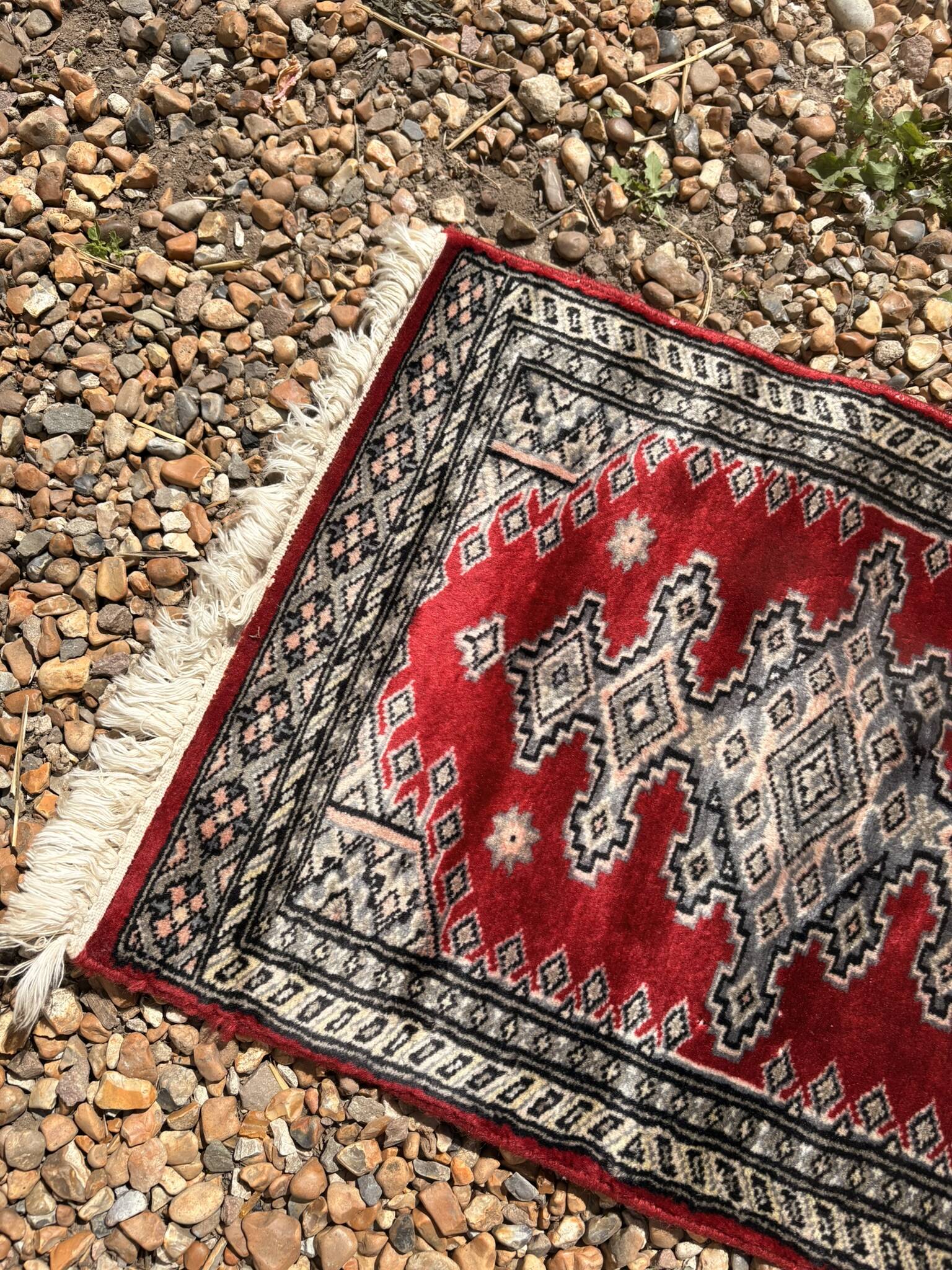 Carpet Pakistan Afghanistan Bokhara Balouch Entrance