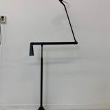 Zelig Terra Floor Lamp by Walter Monici for Lumina, 1980s