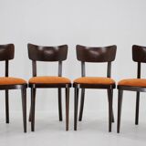 1950s Set of Four Restored Dining Chairs, Czechoslovakia
