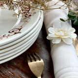 6 old plates in iron earth.