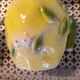 Huit mugs en barbotine