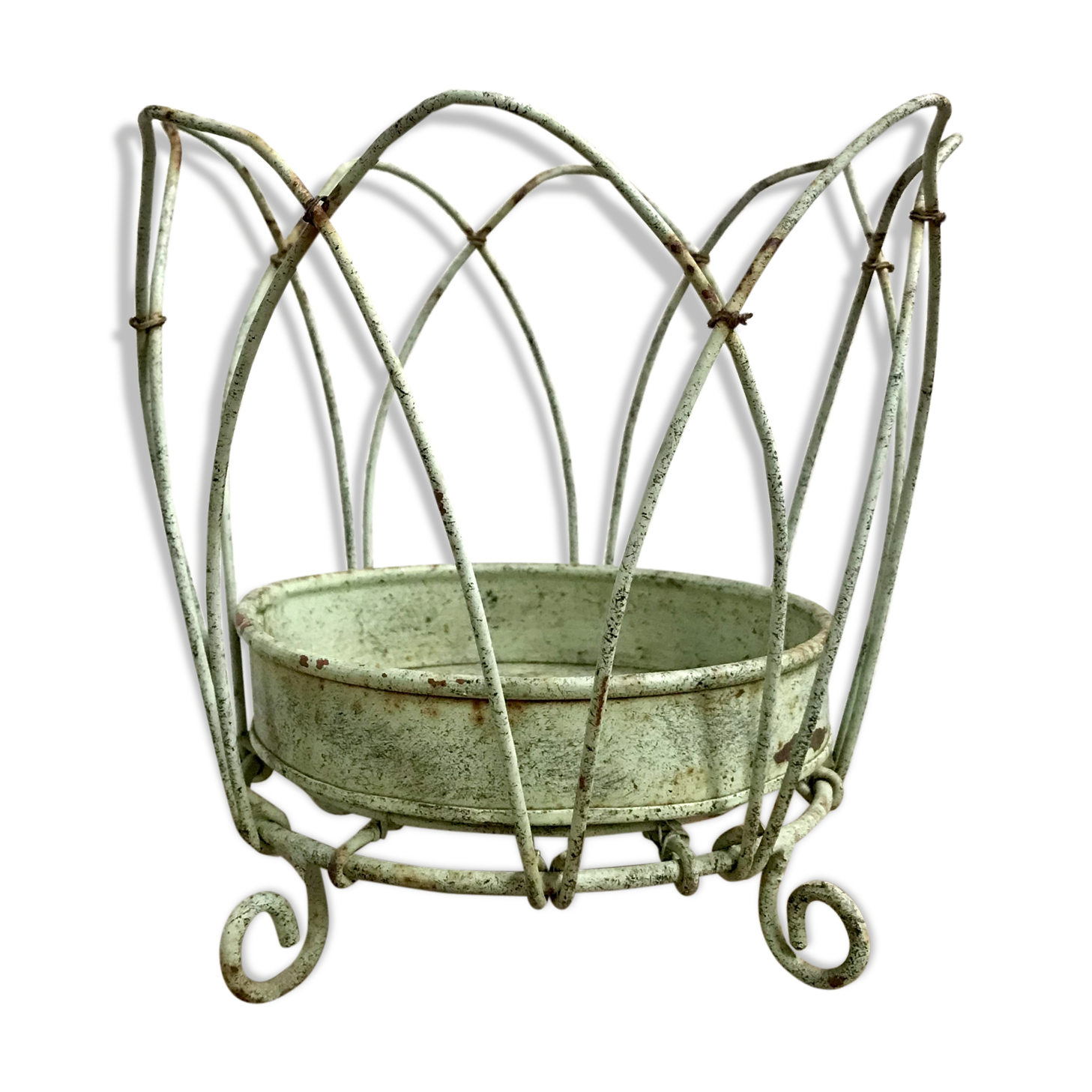 Green metal plant door