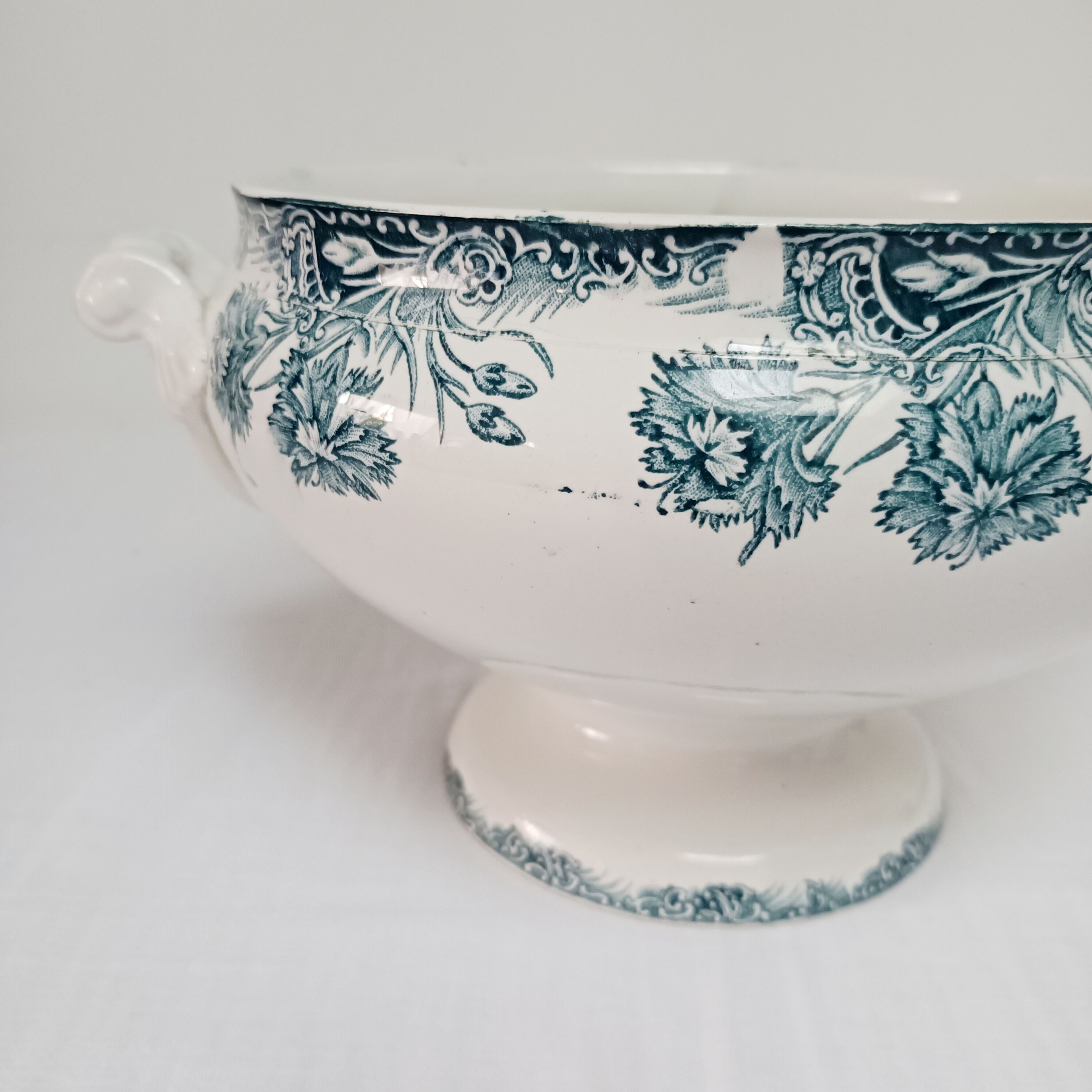 Iron earth soup tureen Saint-Amand, Carnations
