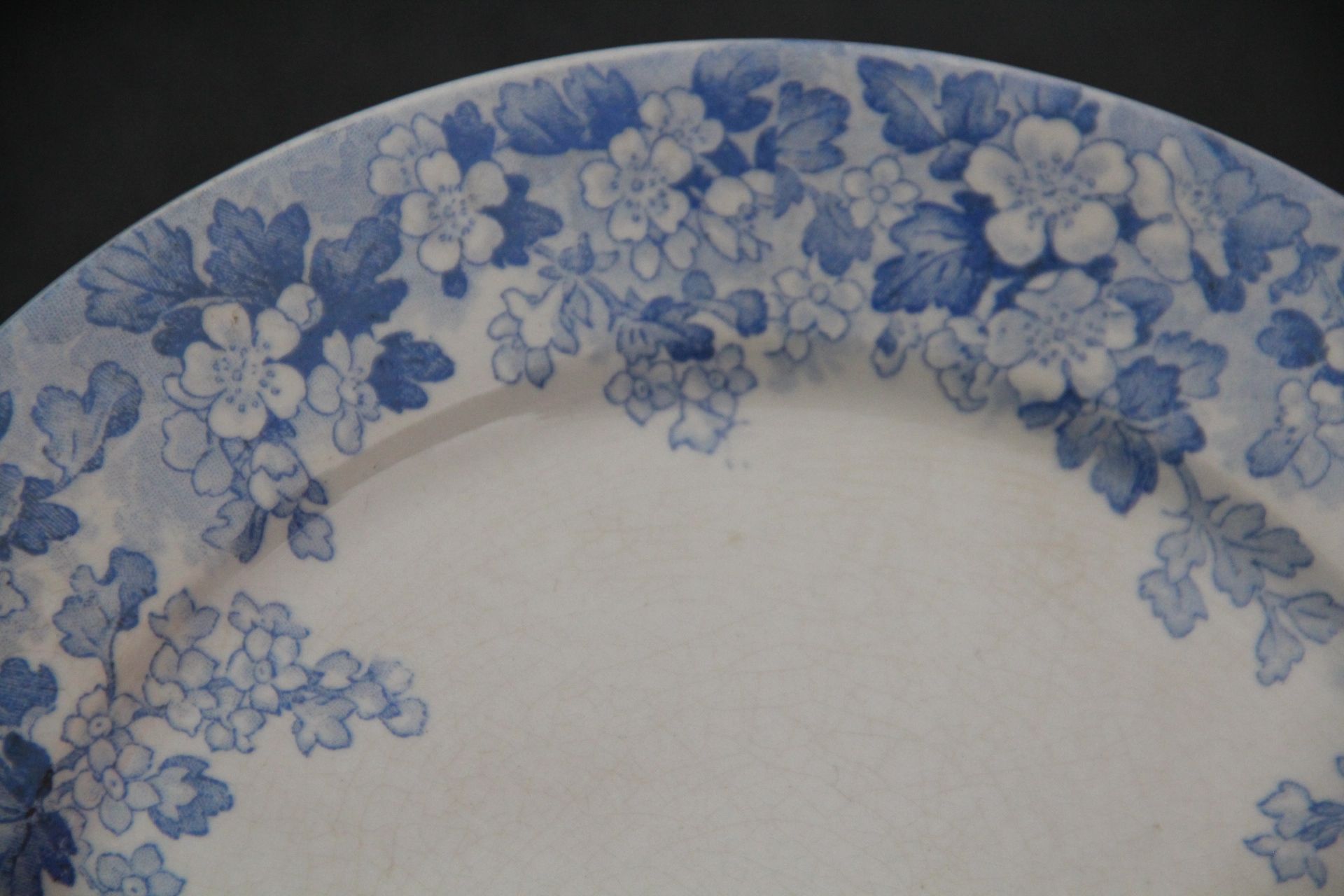 Rare plate service 6 people "Récamier" U&C Sarreguemines and Digoin late nineteenth °