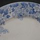 Rare plate service 6 people "Récamier" U&C Sarreguemines and Digoin late nineteenth °