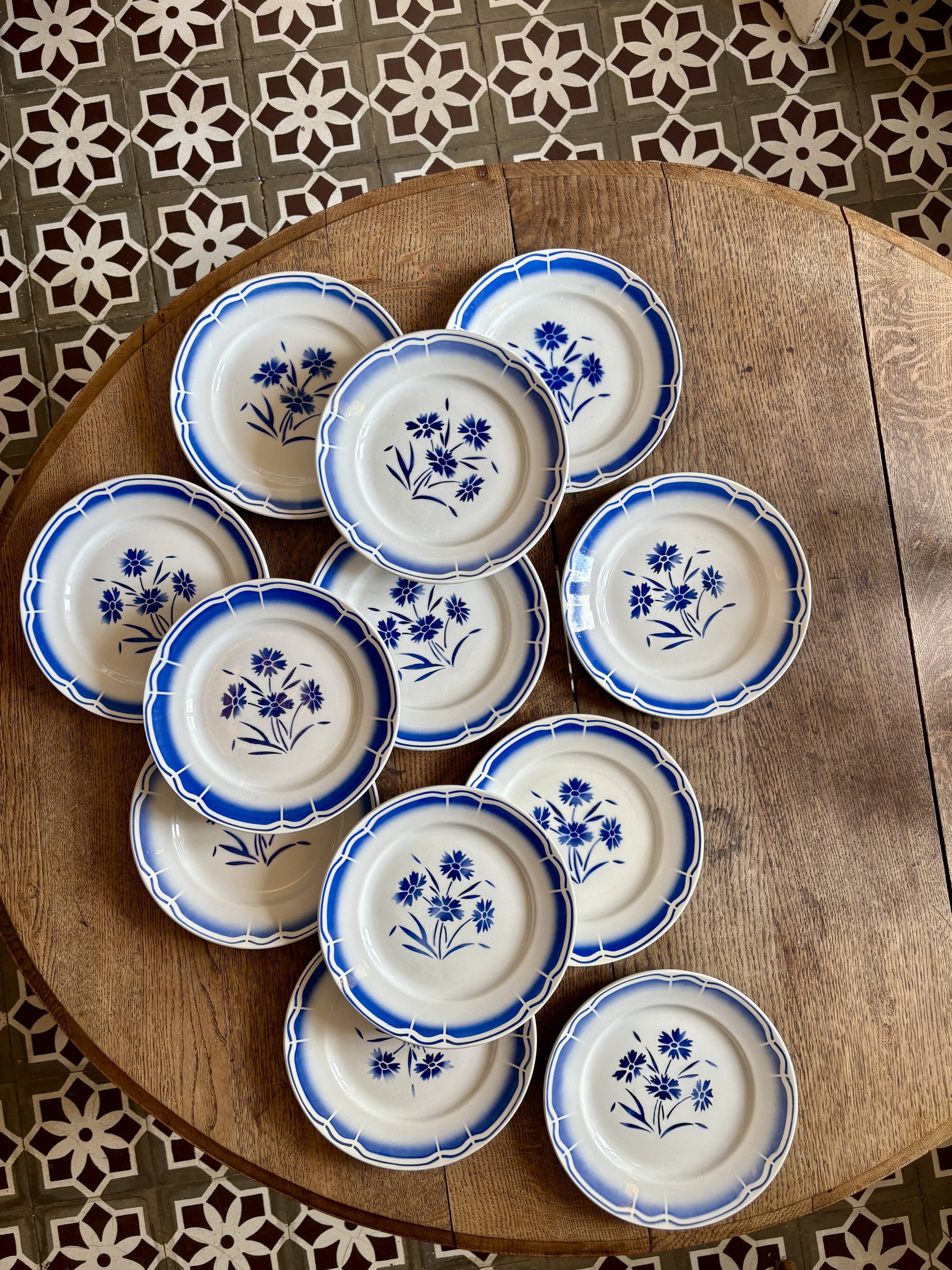 Set of 12 antique flat plates, blue flower decorations