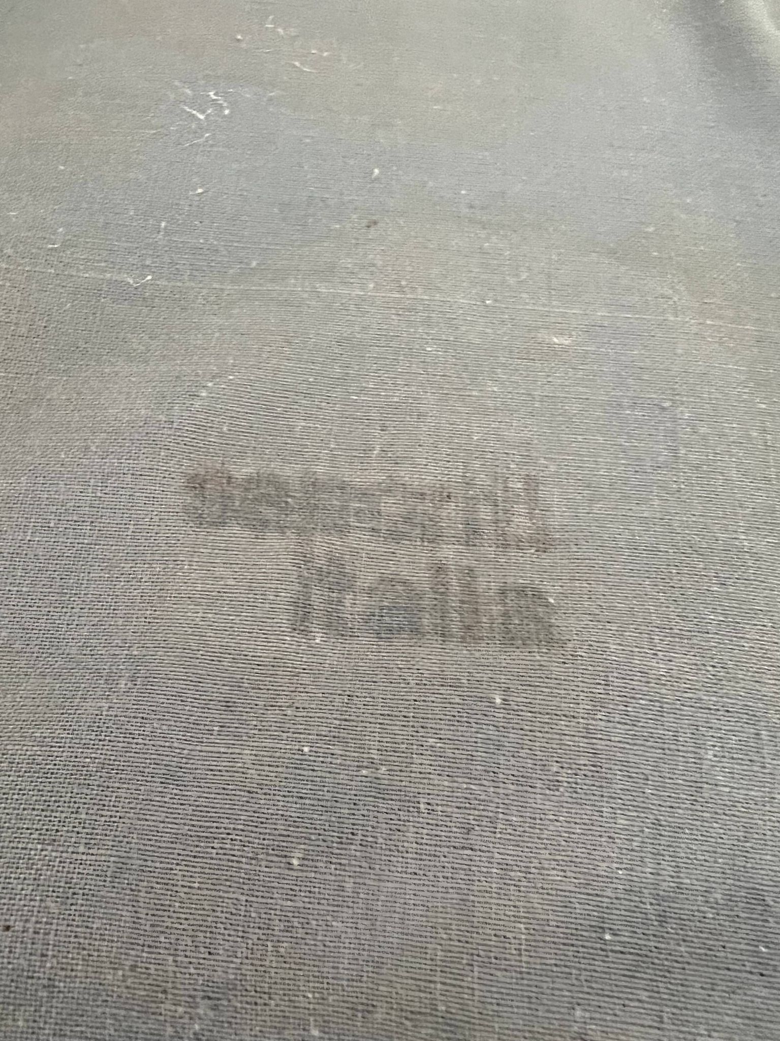 Pair Of Armchairs On Casters For Saporiti Italia, New Upholstery, 1970s