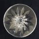 Set of 9 glasses of white wine in crystal of Saint Louis camargue model