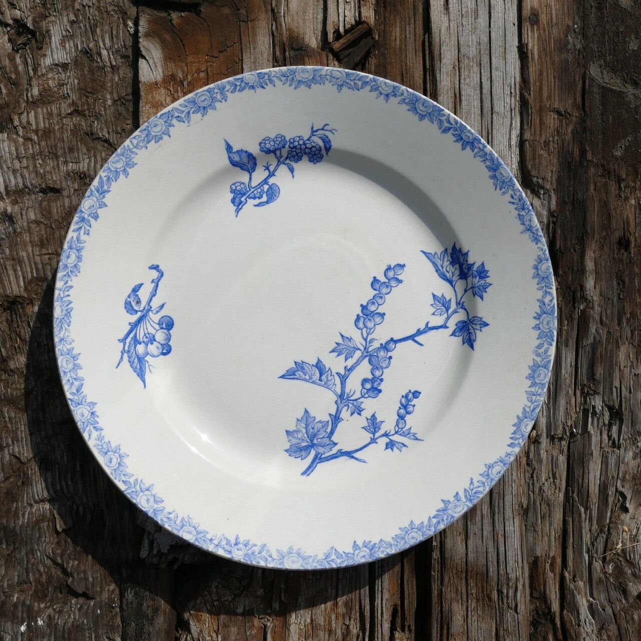 Assiette terre de fer