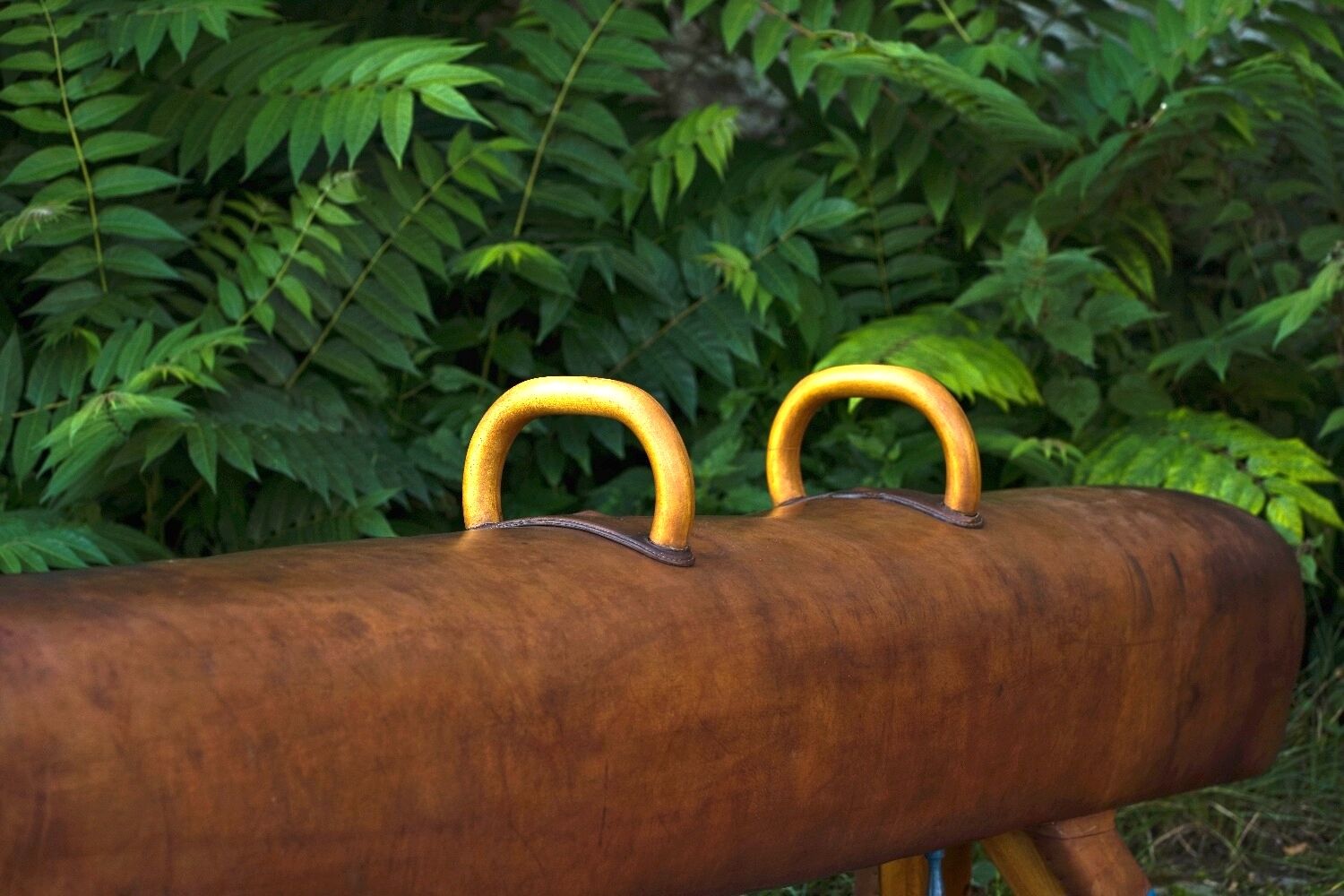 Gymnastic Leather Pommel Horse Bench with Wooden Handles, 1920s
