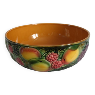 Large Salins fruit slushie salad bowl