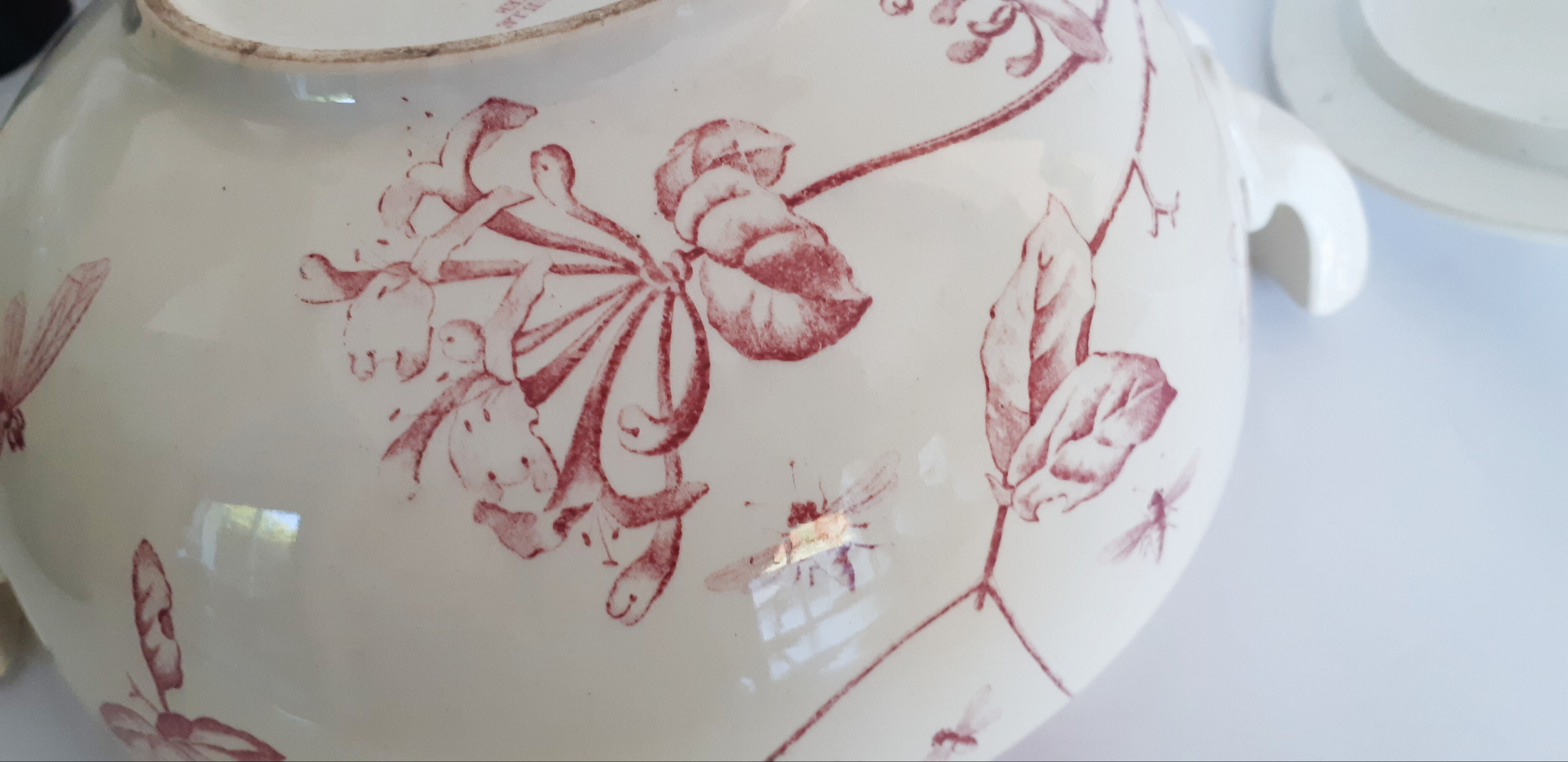 Soup pattern "Chevrefeuille" iron earth, Salins, porcelain