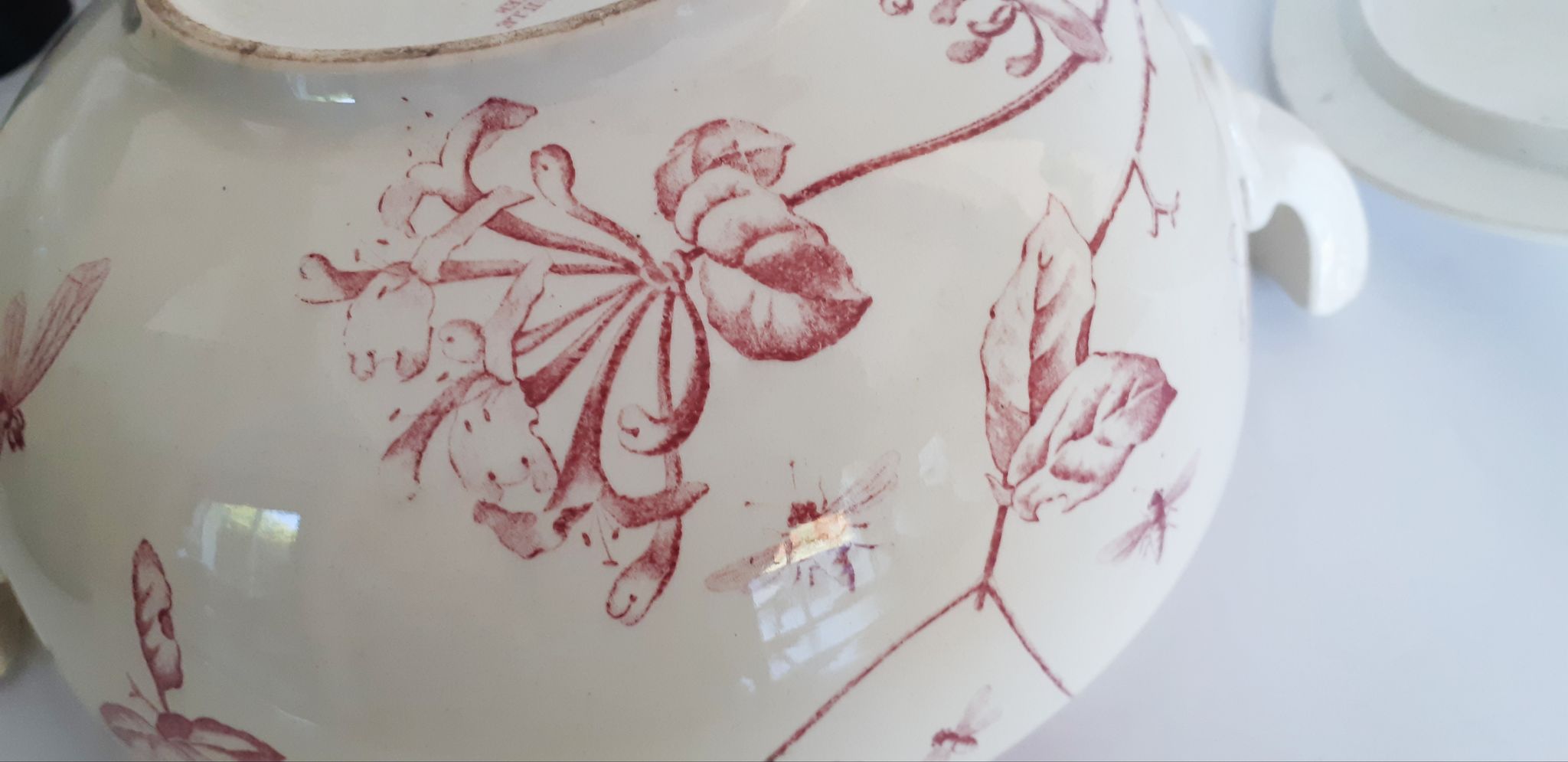 Soup pattern "Chevrefeuille" iron earth, Salins, porcelain