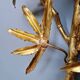 Large pair of brass wall sconces, Maison Jansen, 1960-70.