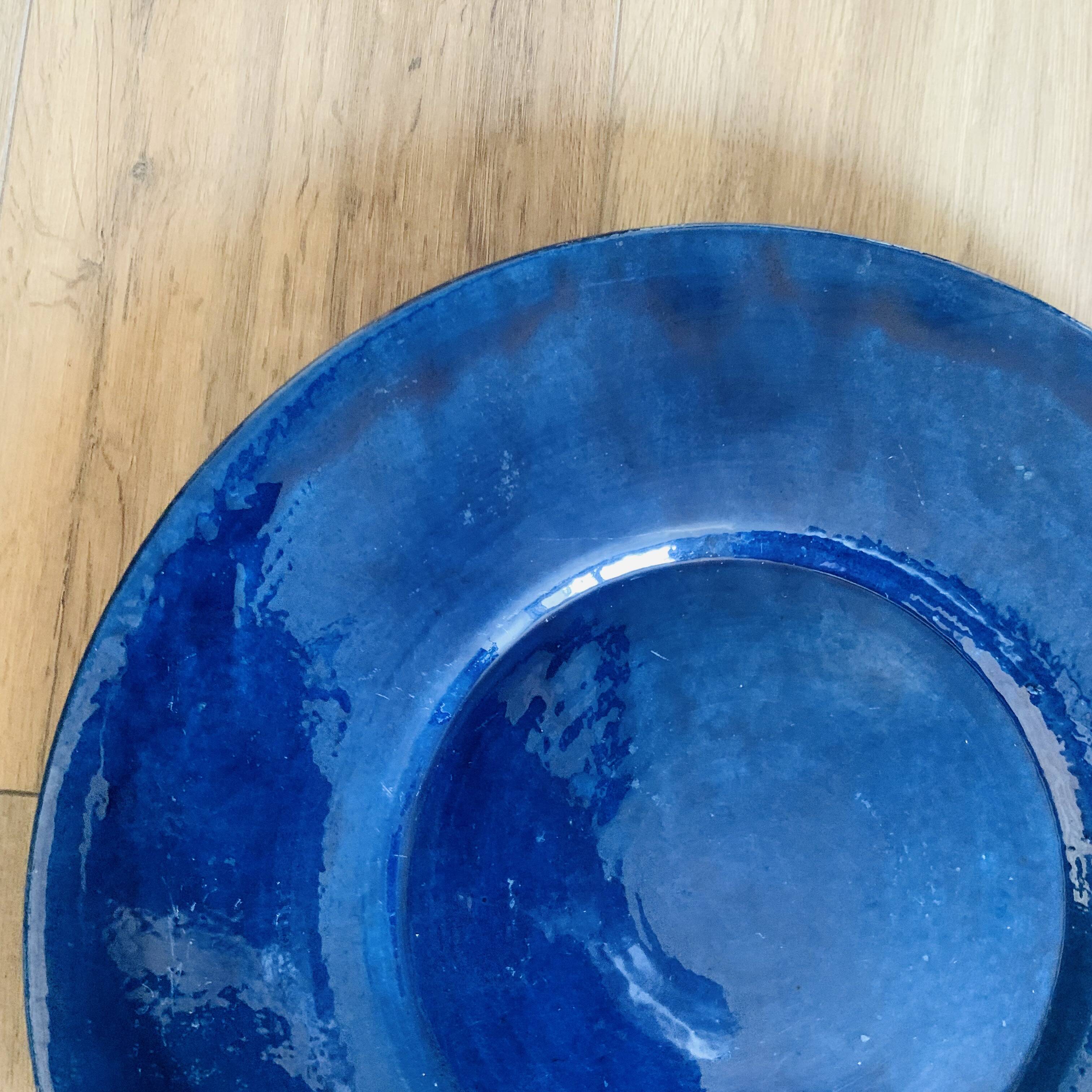Large blue biot dish