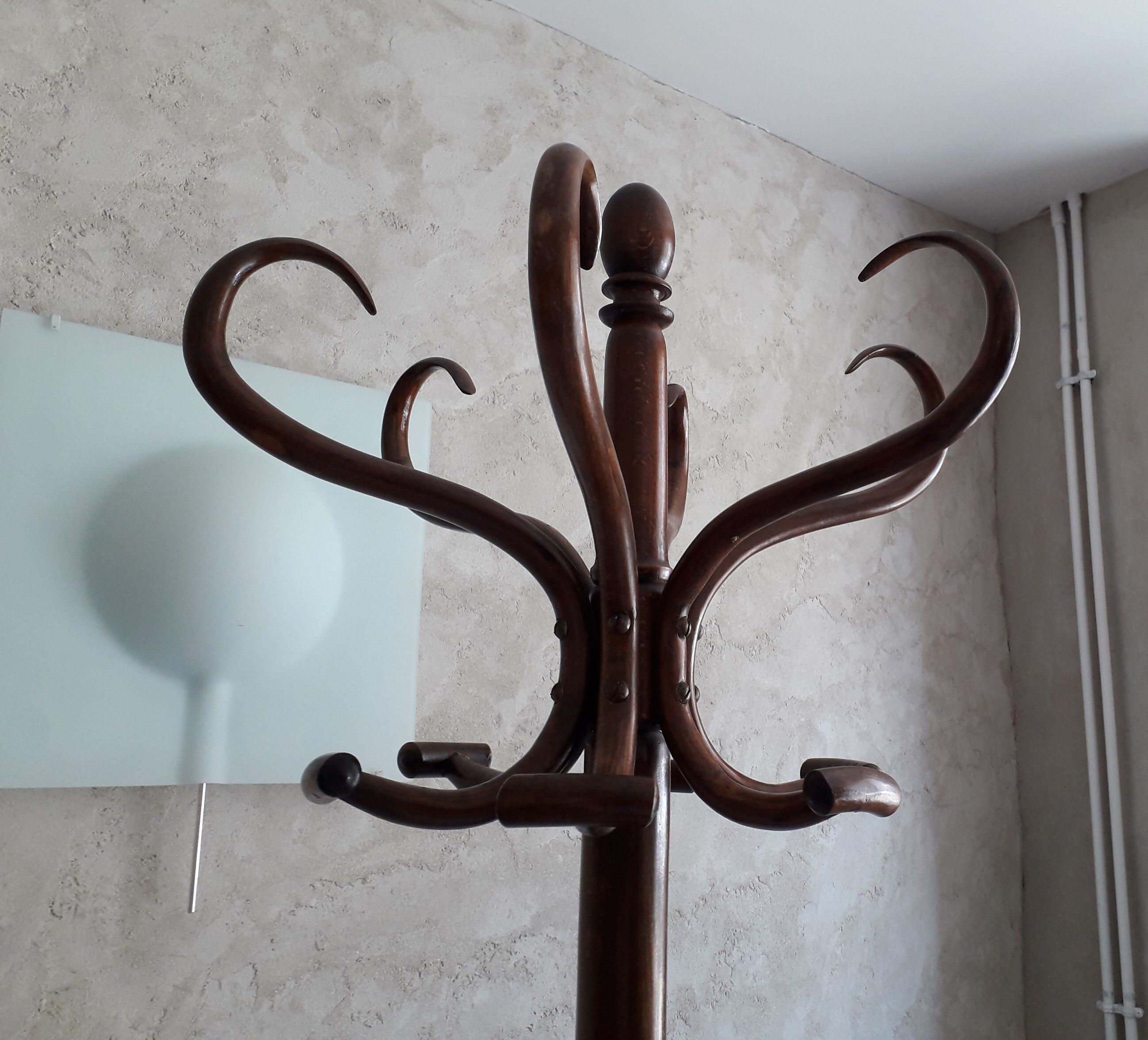 Wooden parrot holder