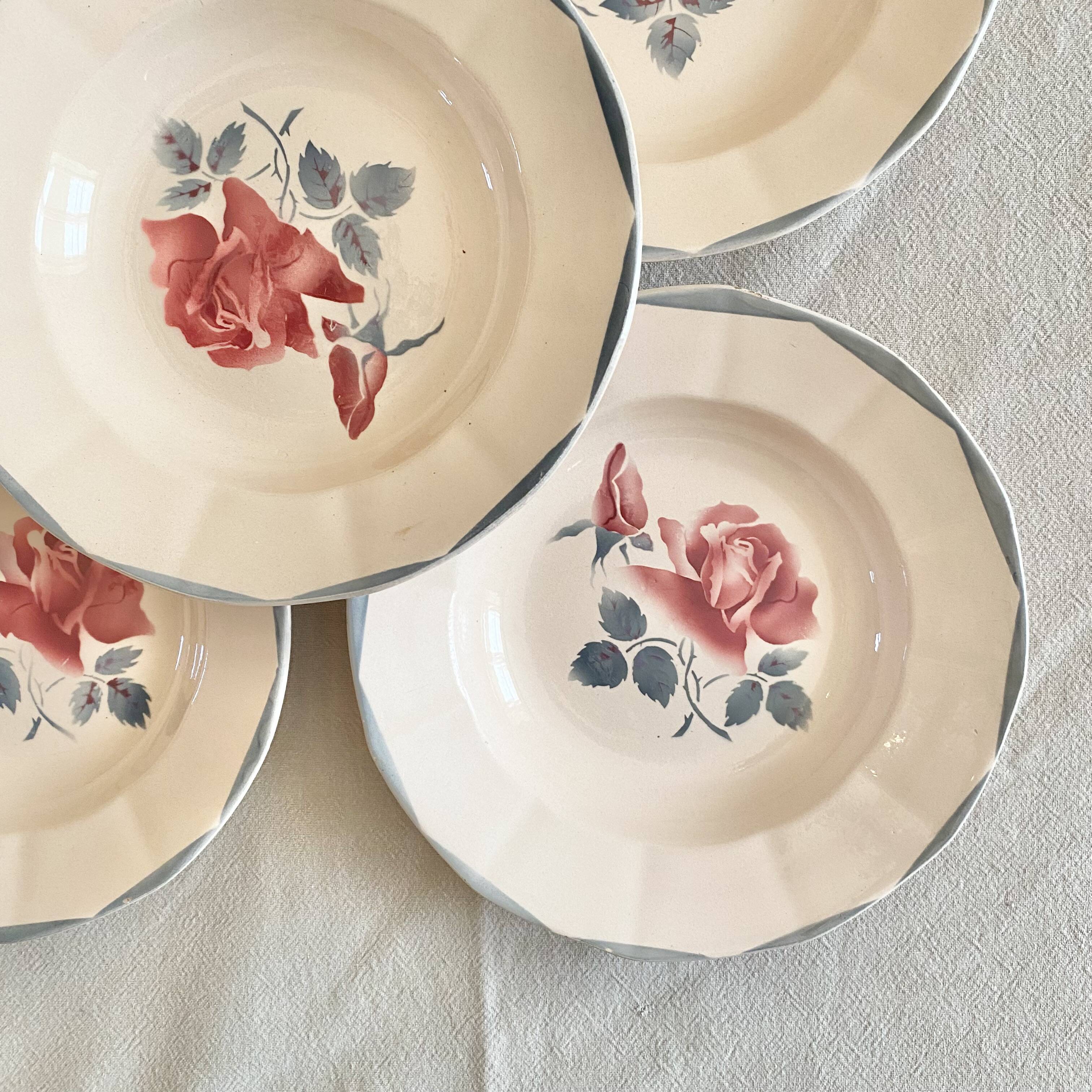 Digouin iron earth soup plates