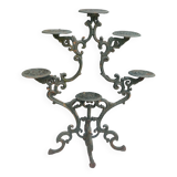 Old shelf carrying cast iron plants