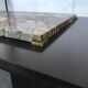 Coffee table with petrified wood top