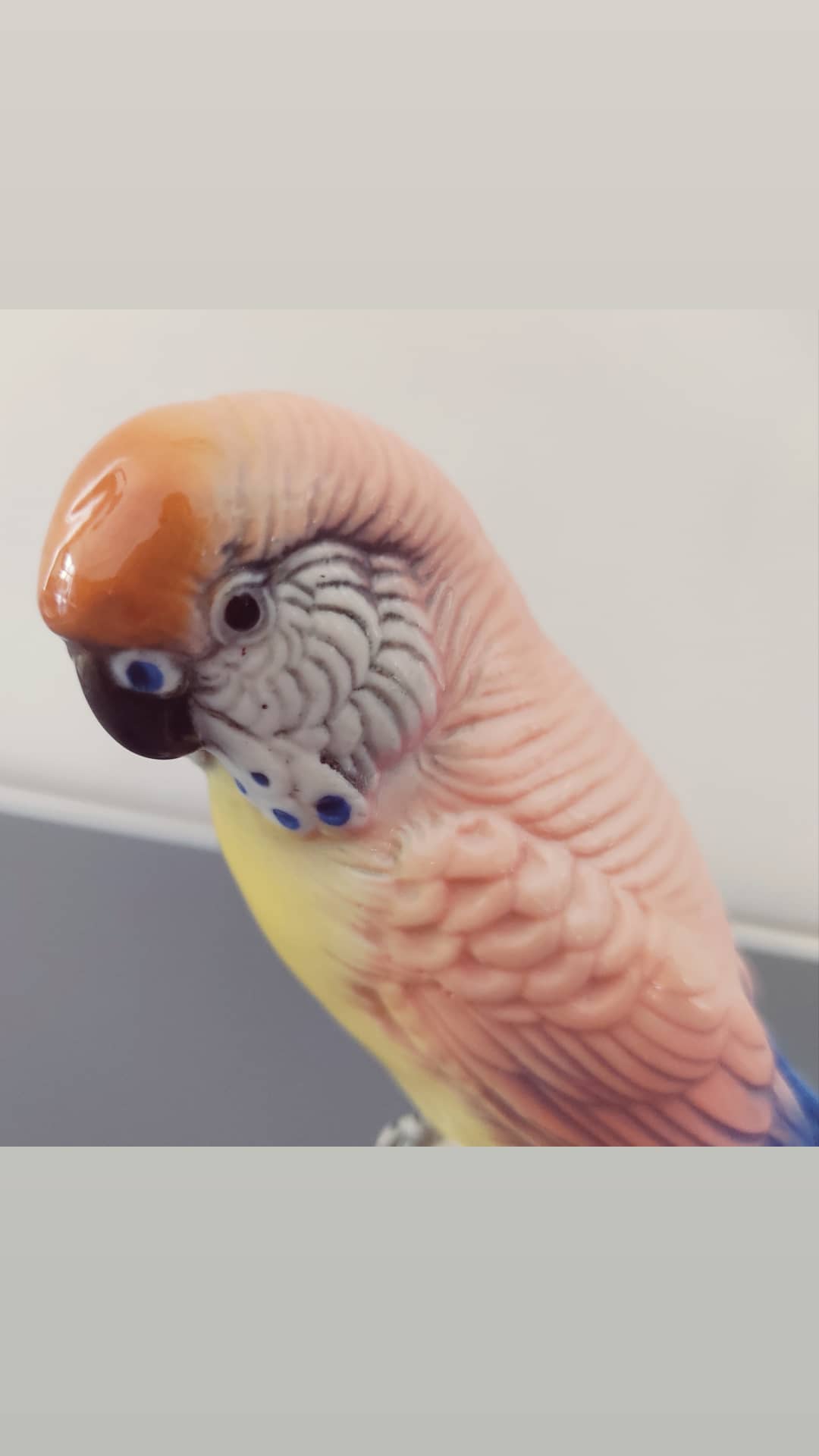 XIXth century porcelain parakeet of Saxony by Karl ENS
