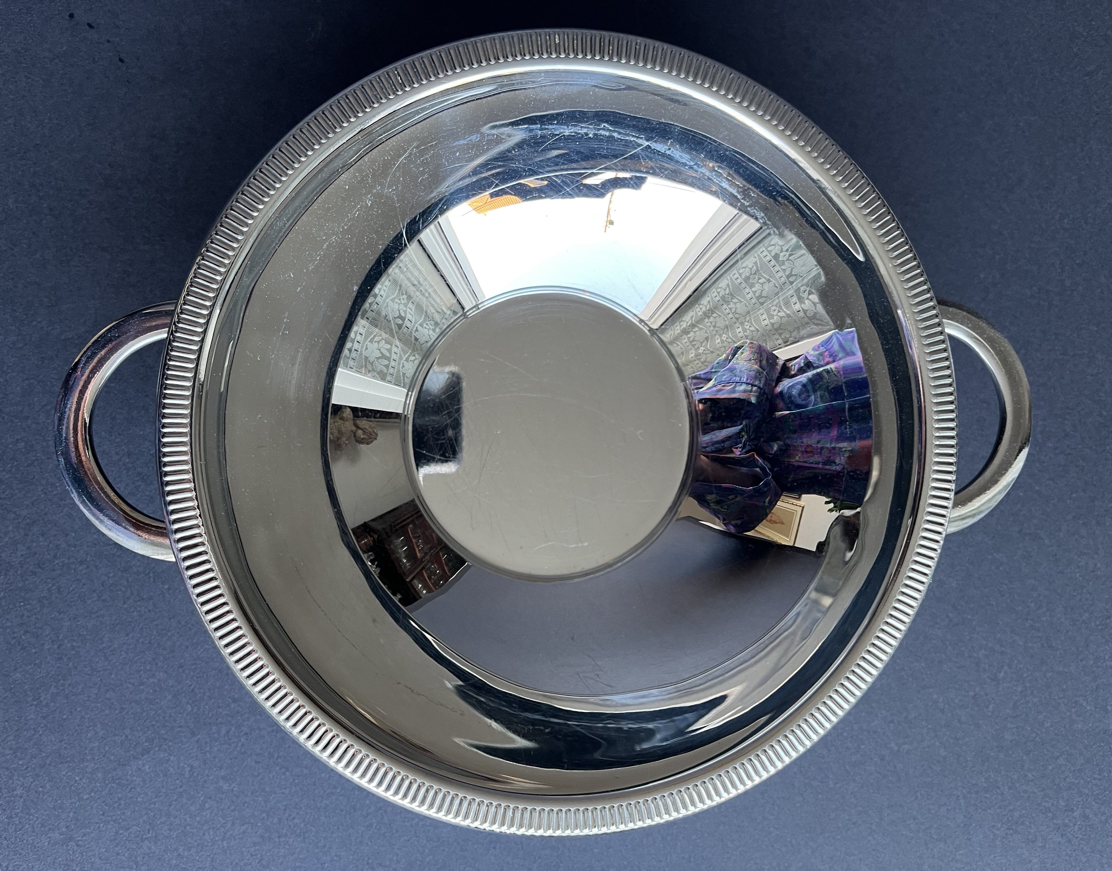 Stainless steel dish