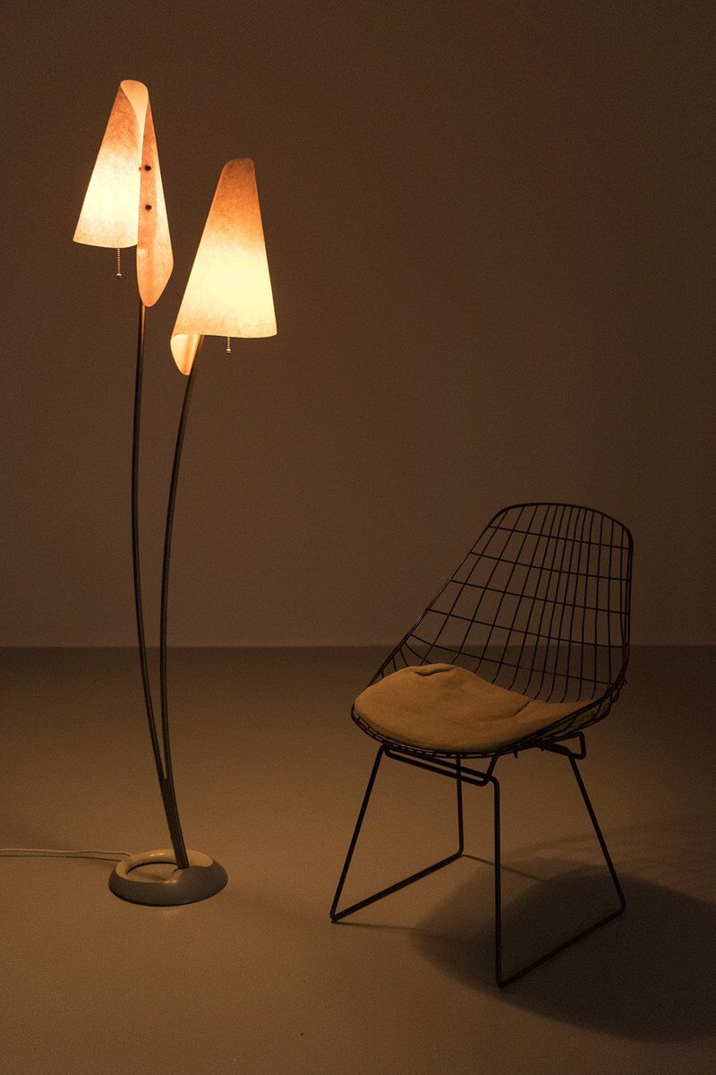 Organically Shaped Floor Lamp