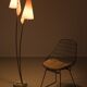 Organically Shaped Floor Lamp