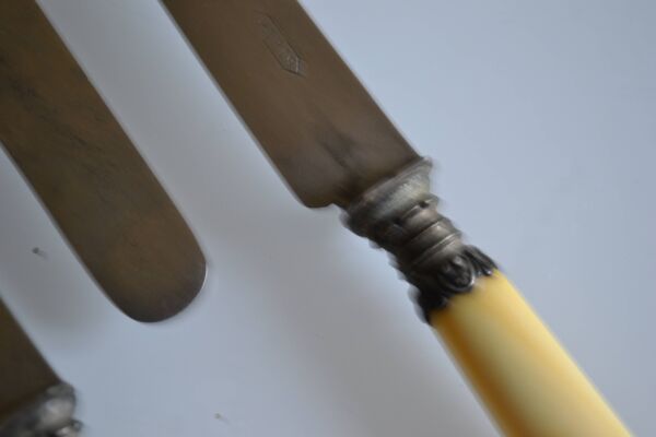 11 couteaux à dessert anciens époque XIX manches couleur ivoire monogramme