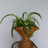 Rattan basket wicker vase cut