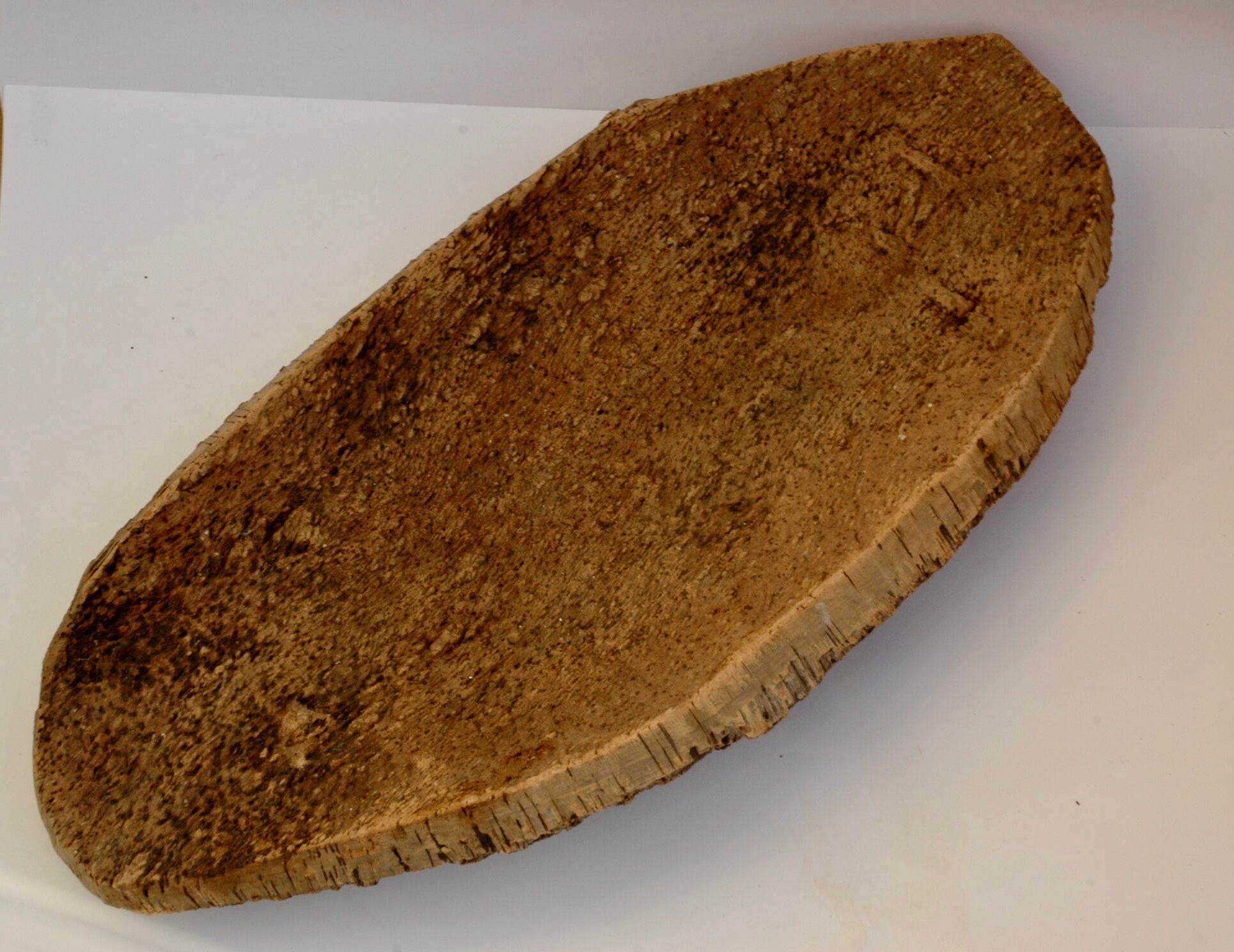 Fruit cut in bark 59x29cm