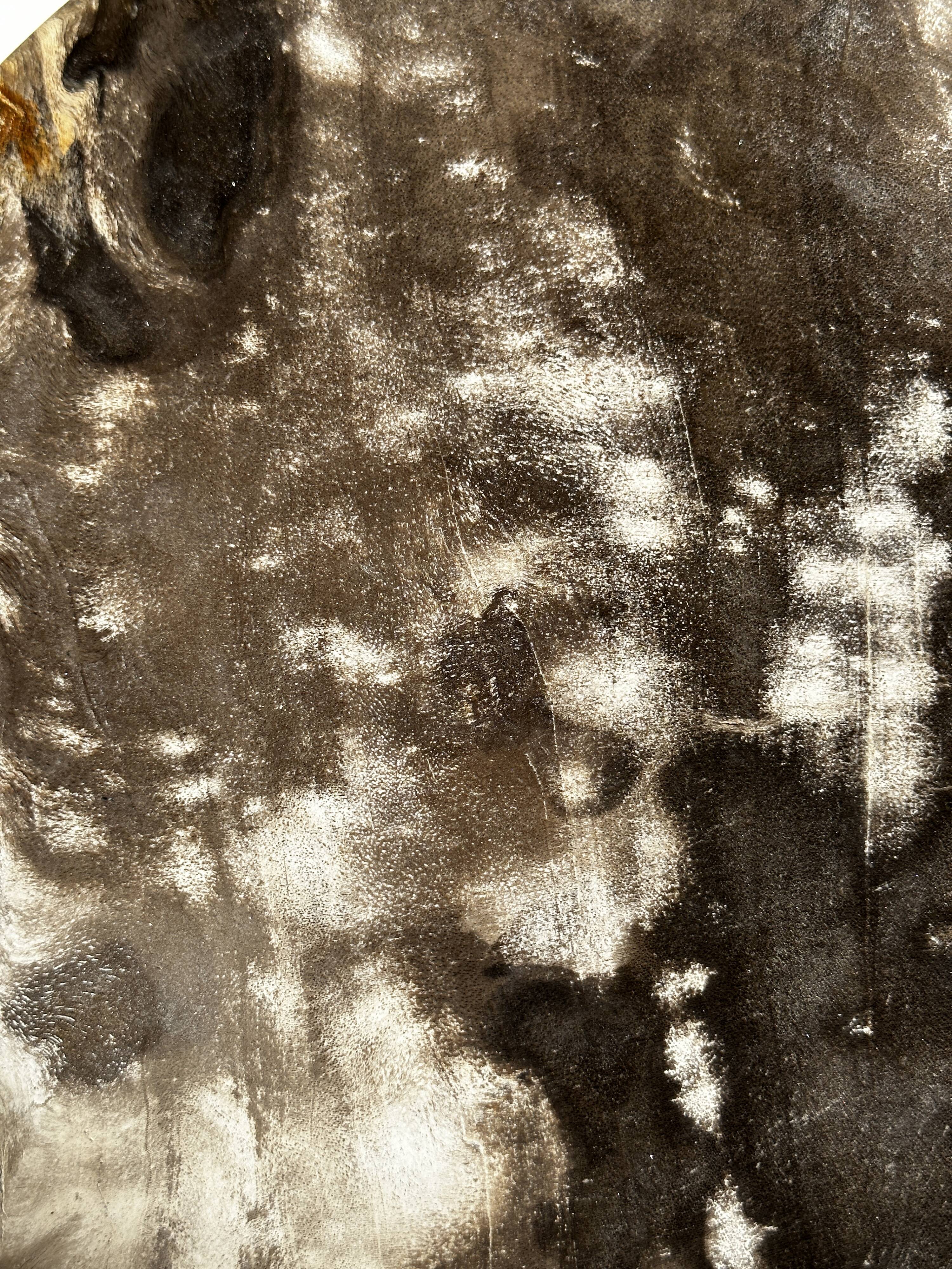 Medium petrified wood dish or pocket emptier, predominantly gray 1137