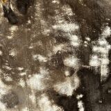 Medium petrified wood dish or pocket emptier, predominantly gray 1137