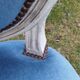 Chair Medallion velvet blue patina white Louis XVI