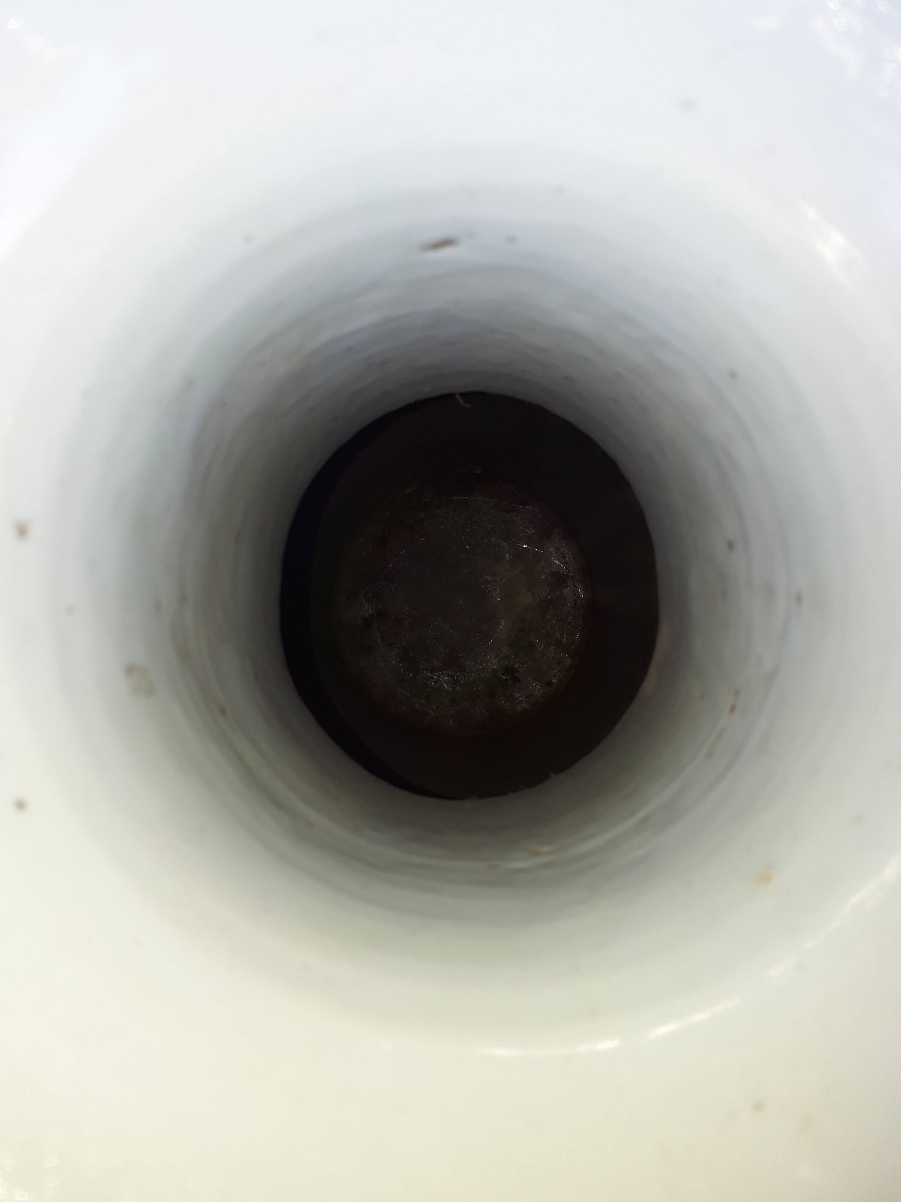 Large Chinese Celadon Vase with Shishi Decor, 19th Century China