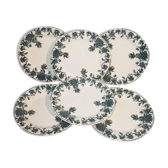 6 flat plates made of Salins earthenware, Chrysanthemums model, Terre de Fer
