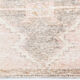 3x11 dusty beige & brown vintage runner rug