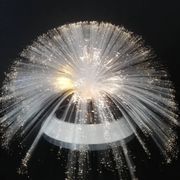 Fiber optic lamp