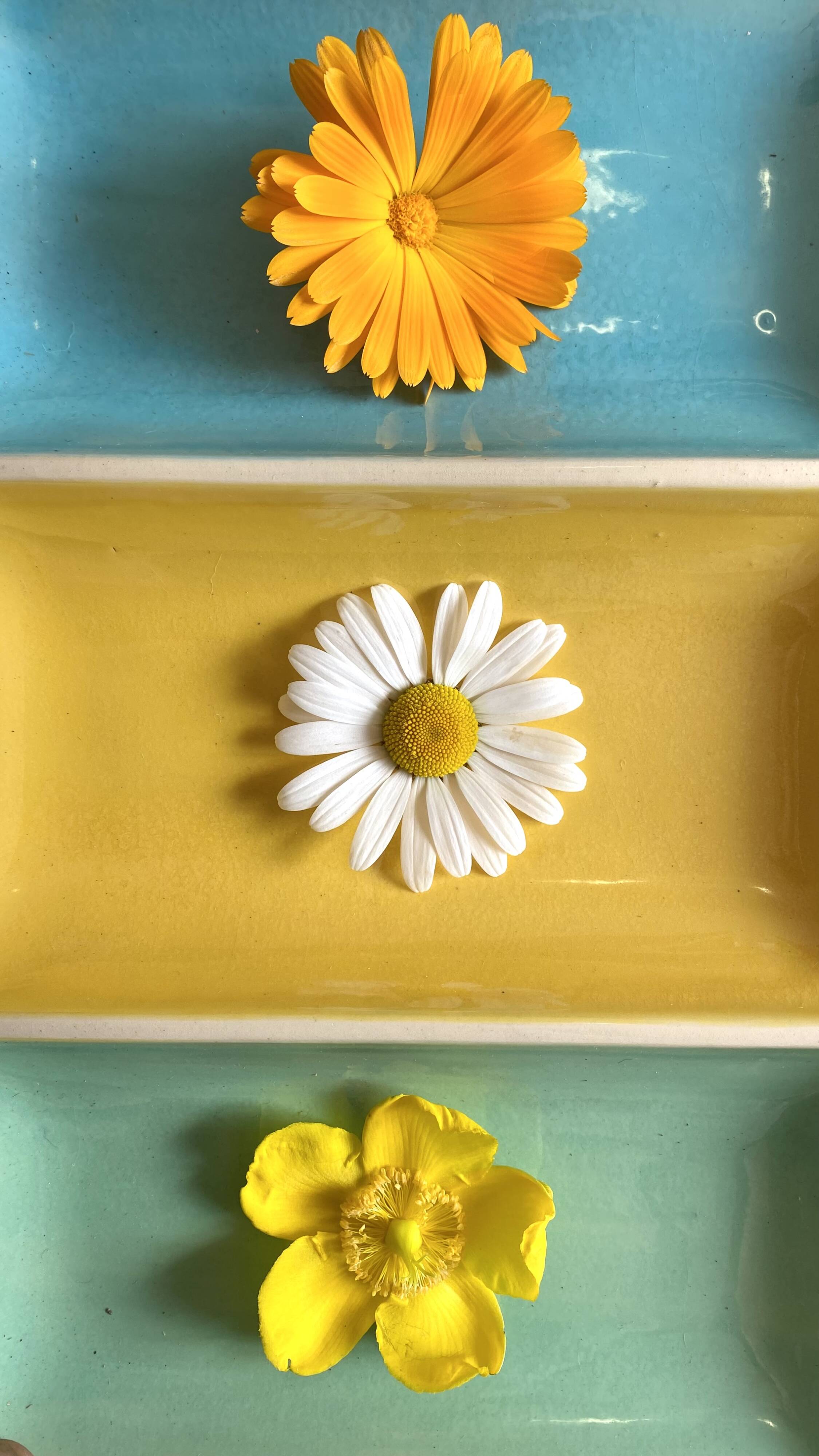 Serving dish for raw vegetables or aperitif, 50s-60s