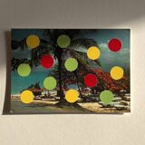 Coconut Sorbet - Collage