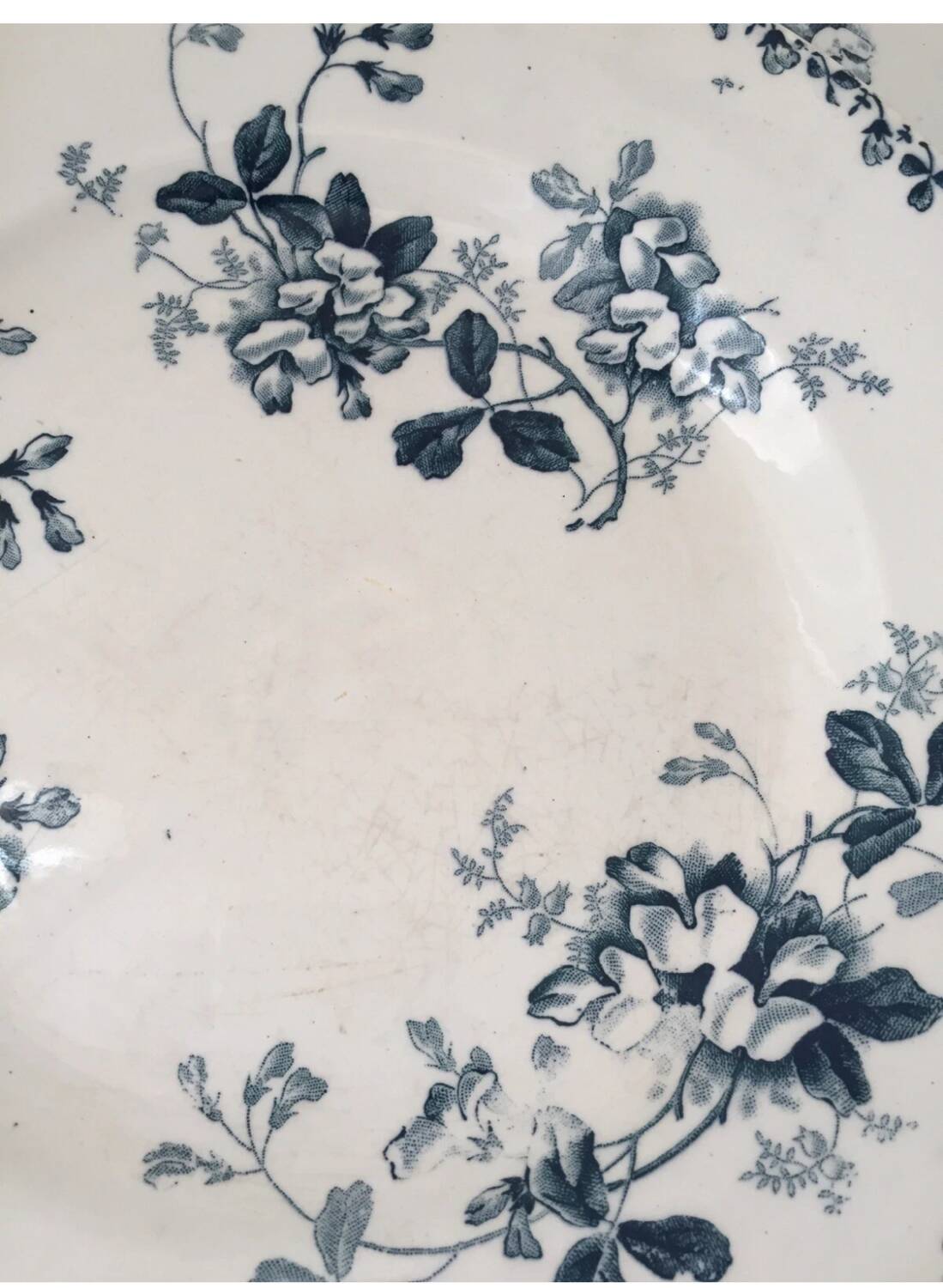 Assiette Terre de Fer St Amand Acacia XIX