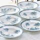 Old ironstone plates from St Amand "Margot" collection