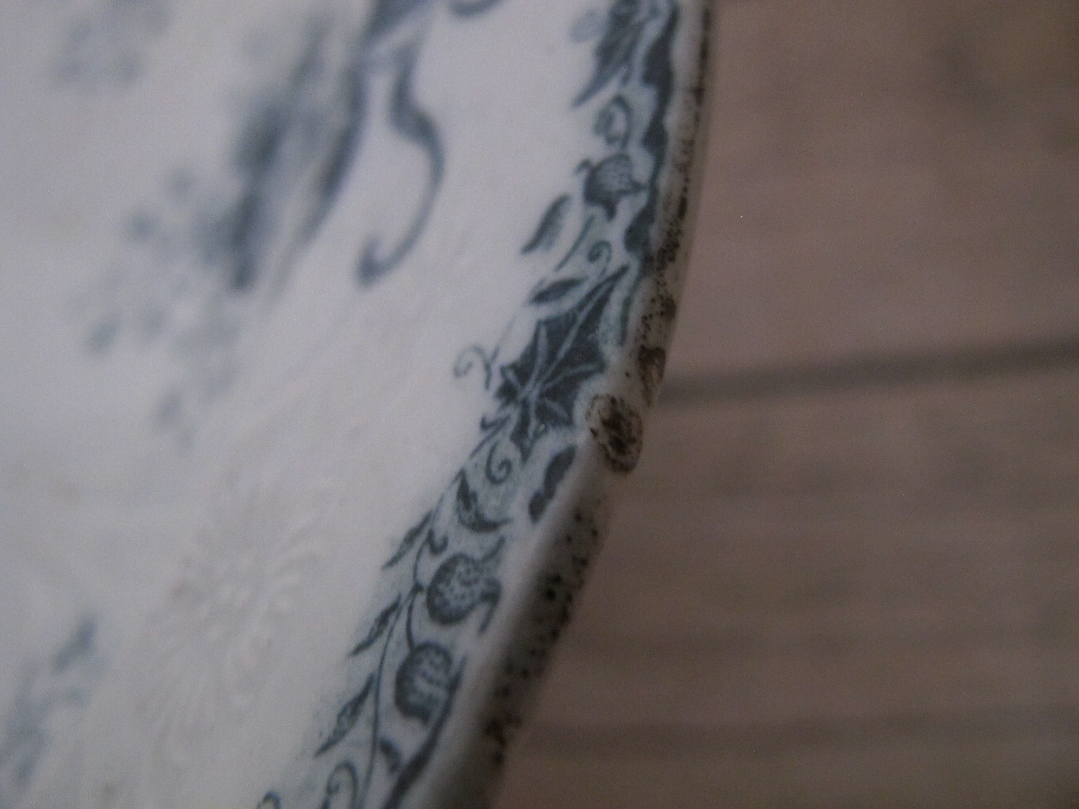 Compotier in Iron Land of Saint Amand