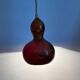Calabash plant lamp