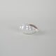 Porcelain seashell, Italian design, 1970s, production: Italy